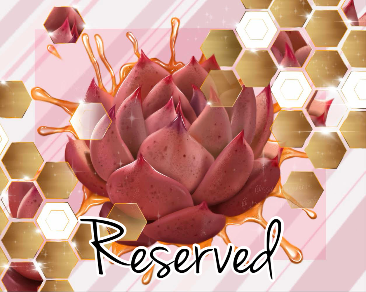 Reseeded