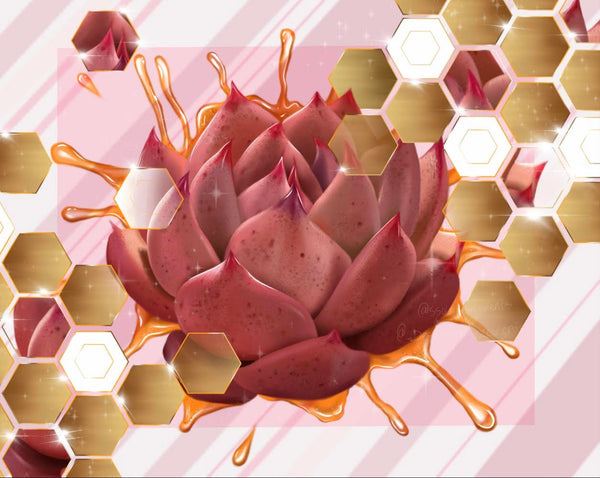 Desert Gem Succulents logo