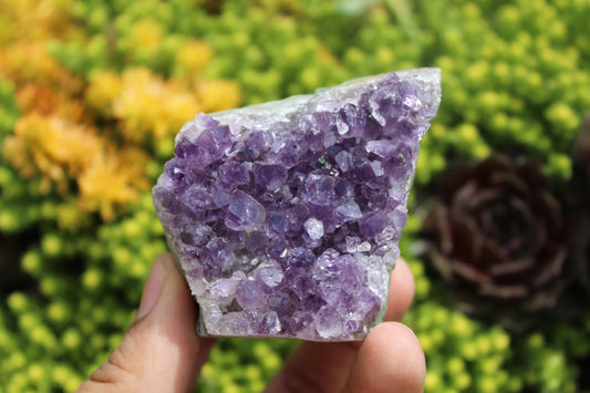 Amethyst Cluster