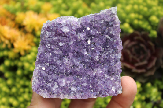 Amethyst Cluster Q