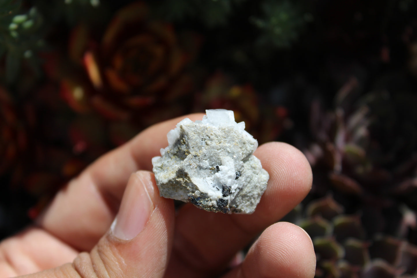 Calcite and Galena