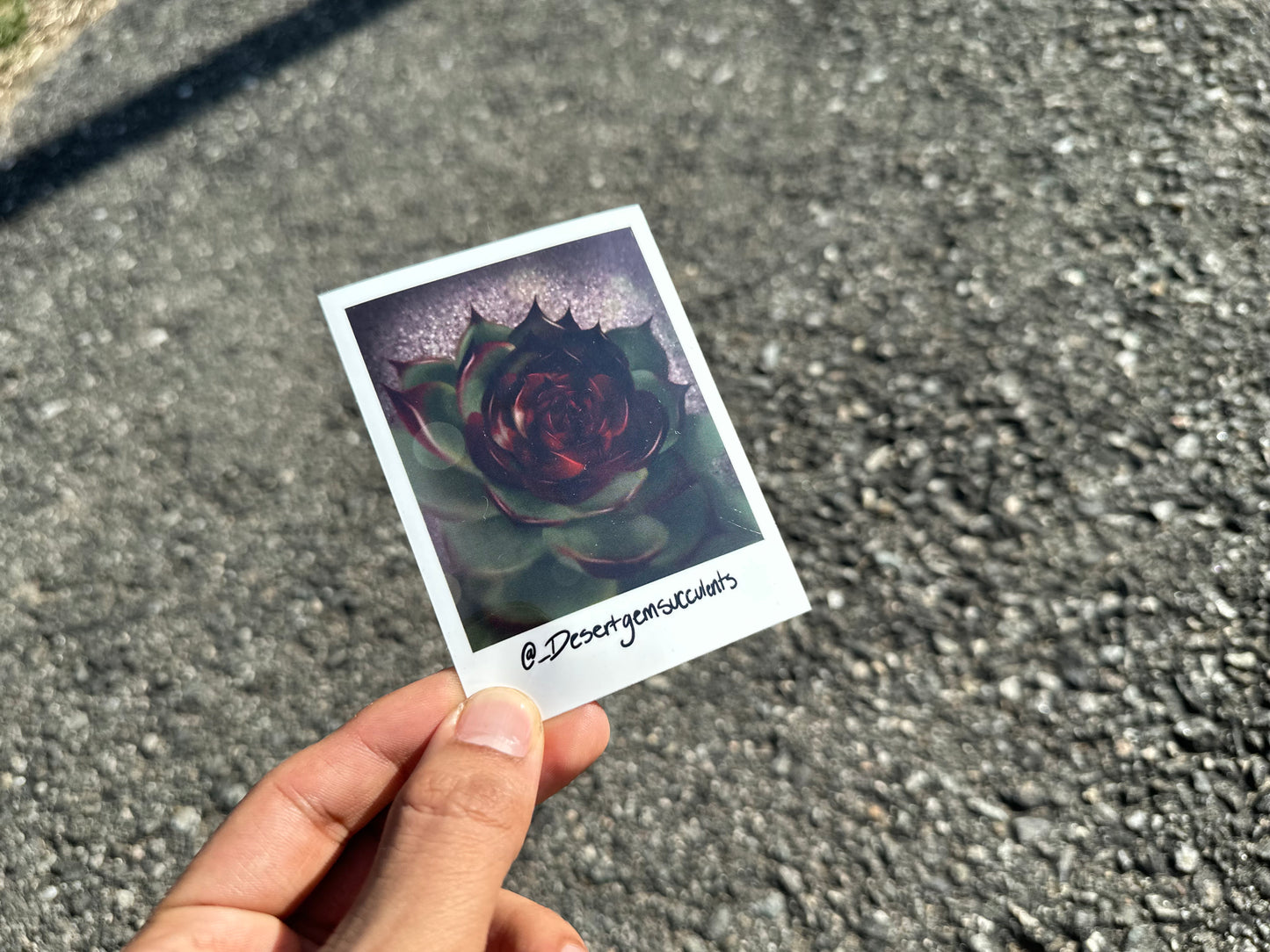 Sticker Bundle 🍯💗🌚🌩️